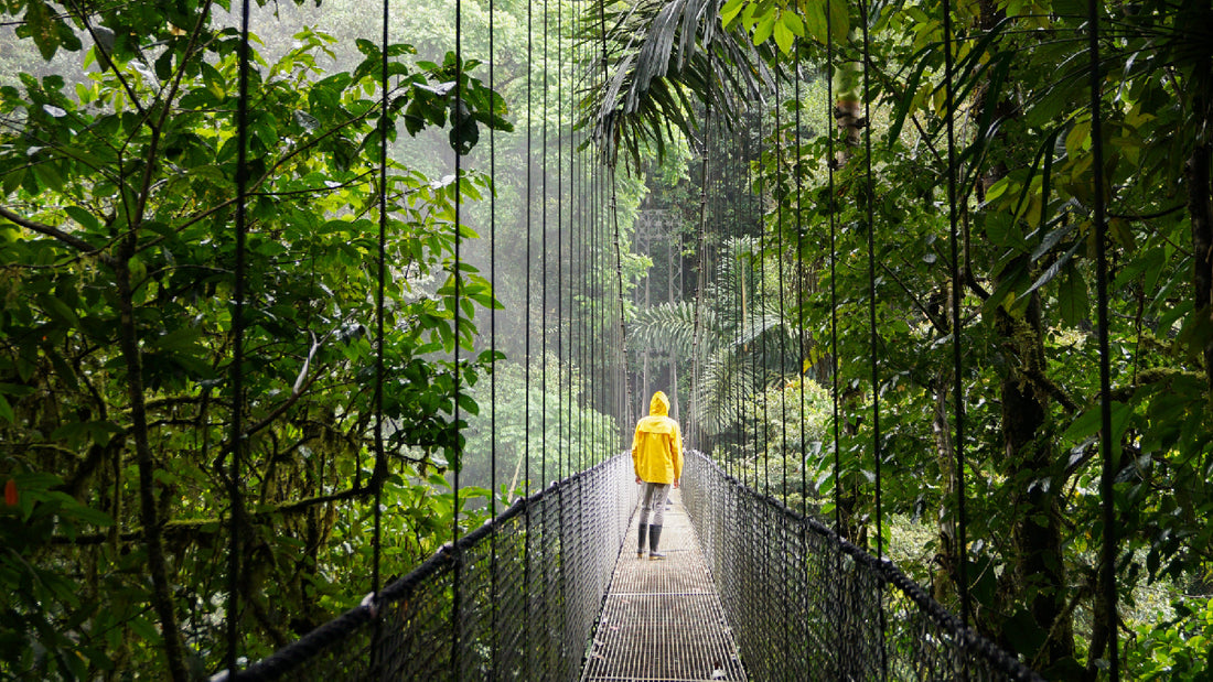 The Scent of Rainforests: Trekking through Aromas in Costa Rica's Jungle Trails