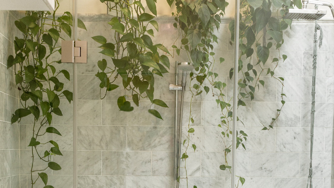 Scented Showers: Aromatherapy Tips for Transforming Your Daily Bathing Ritual