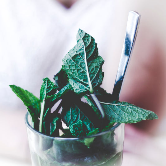 The Uplifting Power of Peppermint: Energize Your Mind and Body