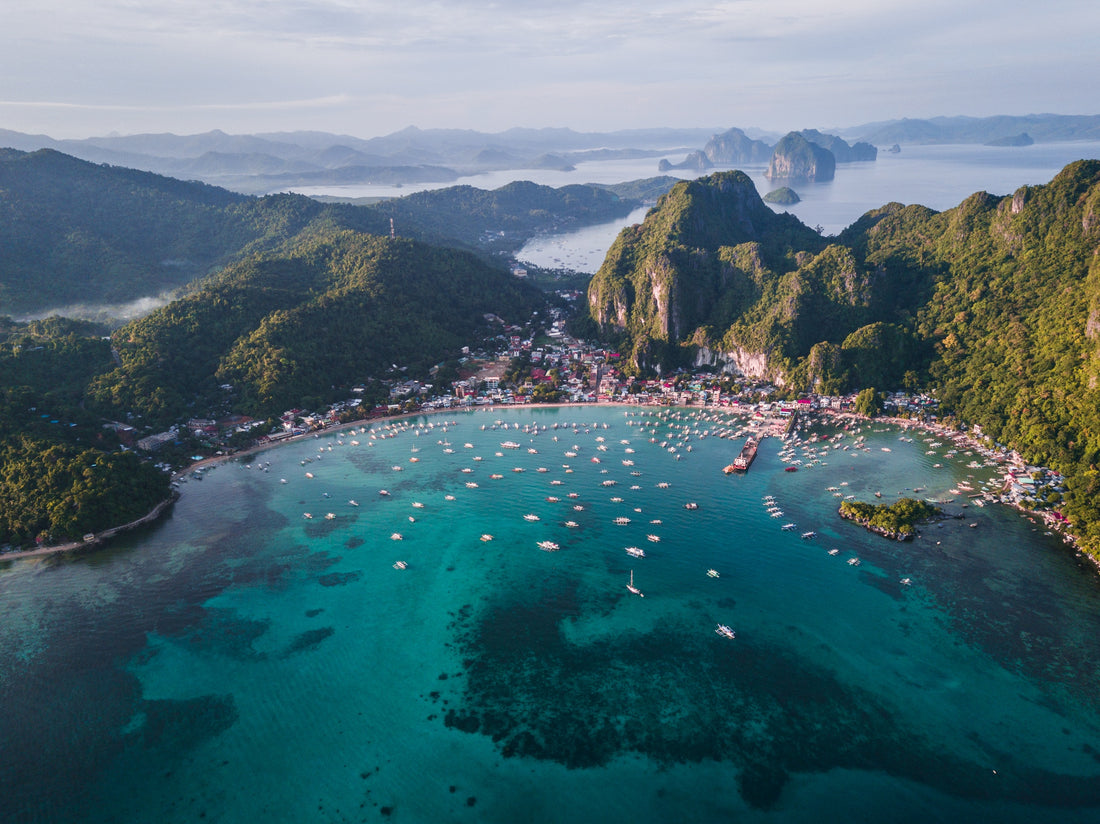 The Natural Scents of the Philippines: A Journey Through the Country's Flora