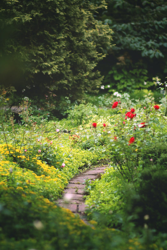 Aromatic Gardens of the World: Architectural Landscaping that Celebrates Fragrance