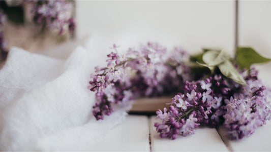 Unwind with these Essential Aromatherapy Ingredients for Relaxation