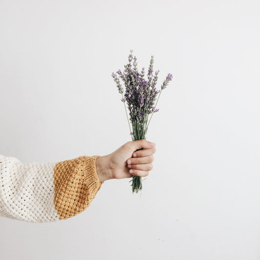 The Power of Lavender: How to Use This Soothing Scent in Your Home