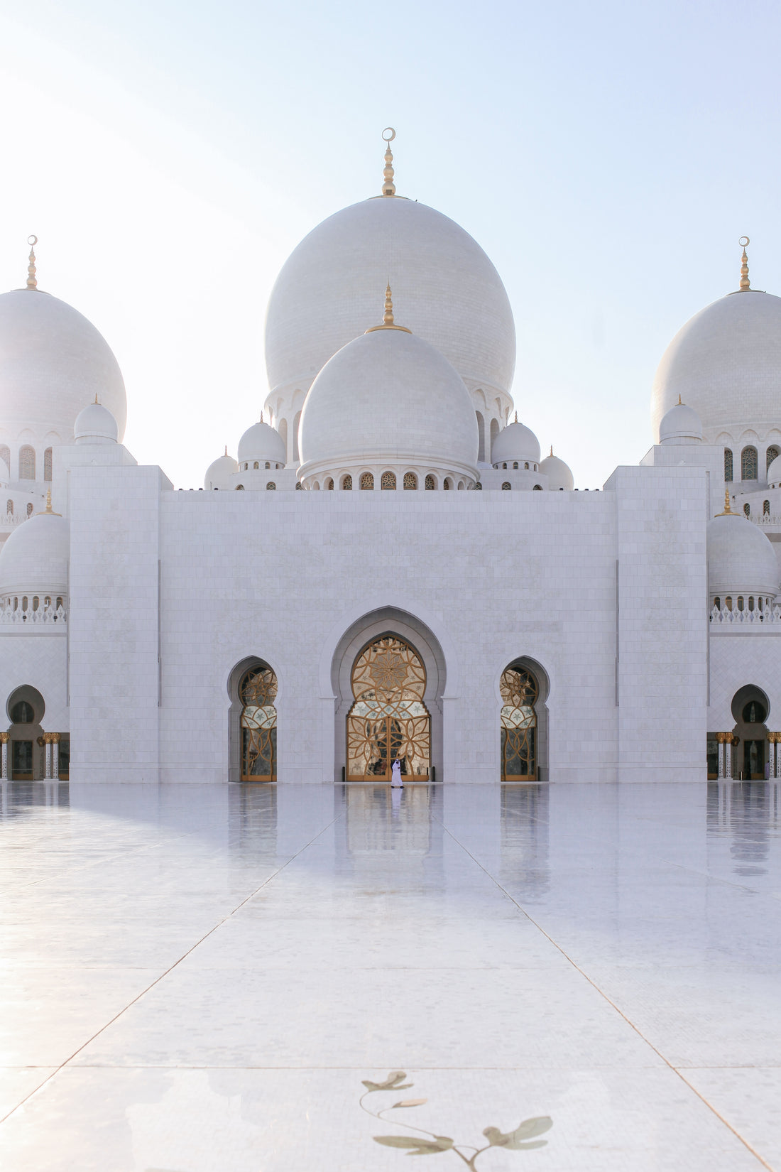 Perfumed Gardens of the Middle East: Exploring the Fragrances of Arabia