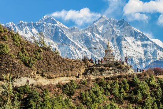 The Exotic Scents of Nepalese Spices: Aromatic Flavors and Medicinal Properties